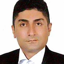 سيد مسعود  نجيبي 