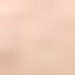 حمیدرضا ابویی مهریزی 