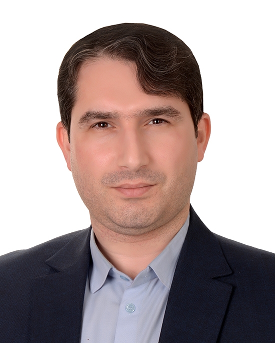 سیدهادی موسوی نیا 