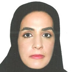 اعظم ملکی 