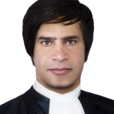 رضا شیعه علی 