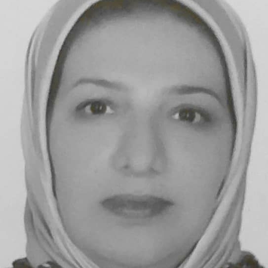 فاطمه افشارمنش