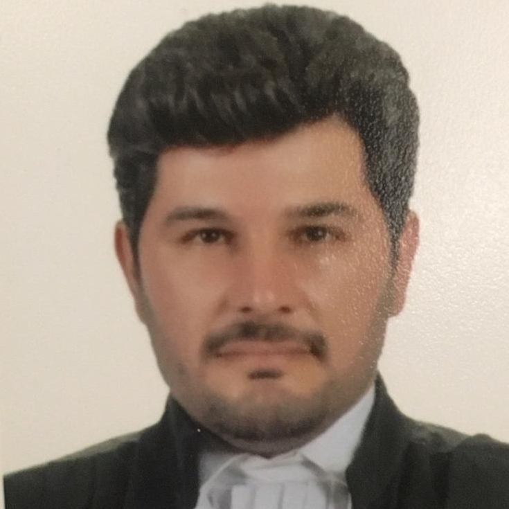 سید مصطفی رضوی 