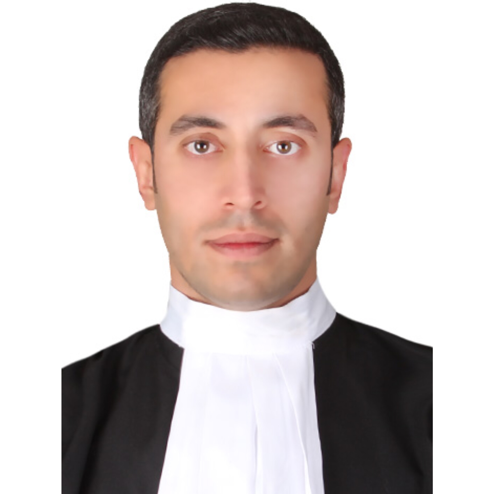 سید محمد هادی رضوی 