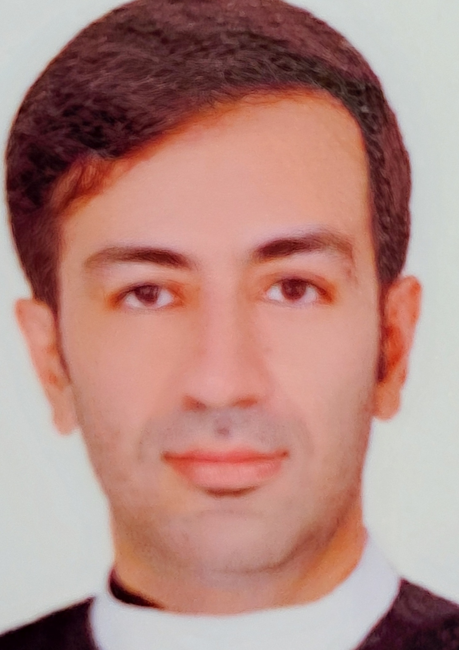 مجتبی بهمنی 