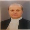 علیرضا شجیعی 