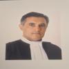 عکس وکیل