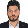 سید امیرحسین محمودی 