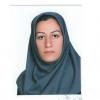 مریم شامحمدی 